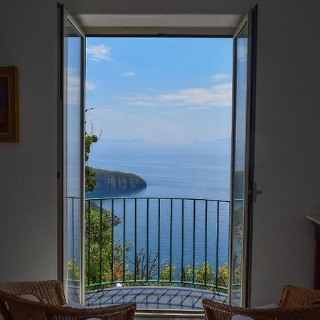 Il Giardino Selvatico Di Succellario - Apartments Barano dʼIschia Extérieur photo