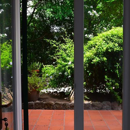 Il Giardino Selvatico Di Succellario - Apartments Barano dʼIschia Extérieur photo