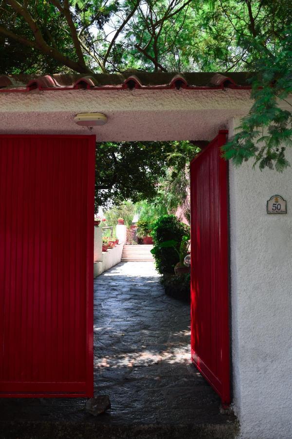 Il Giardino Selvatico Di Succellario - Apartments Barano dʼIschia Extérieur photo