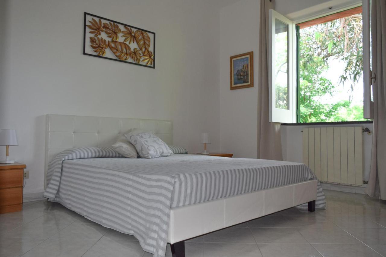 Il Giardino Selvatico Di Succellario - Apartments Barano dʼIschia Extérieur photo