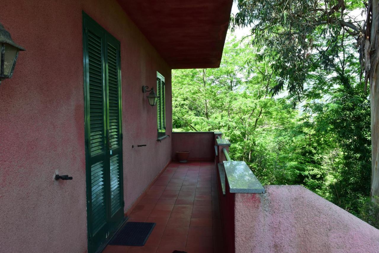 Il Giardino Selvatico Di Succellario - Apartments Barano dʼIschia Extérieur photo